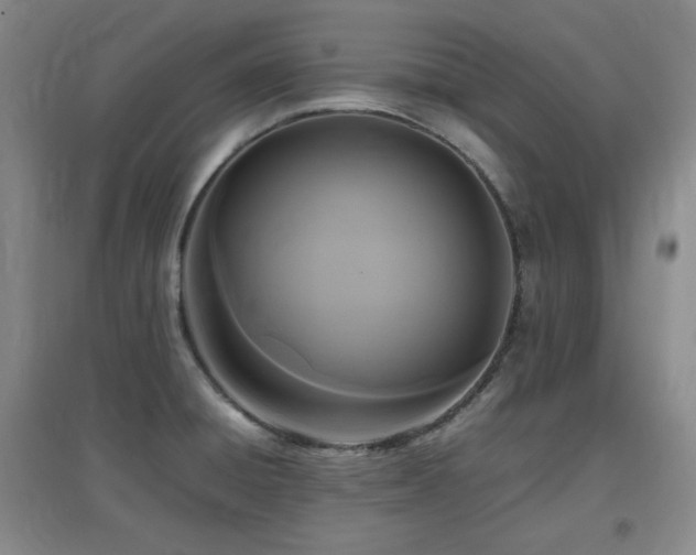 X0000097661428200802291415