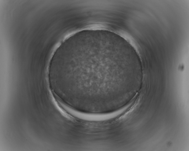 X0000097661429200802291415