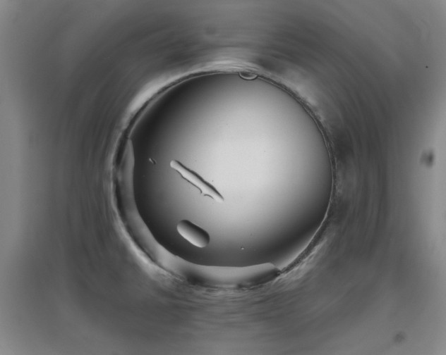X0000097661430200802291415