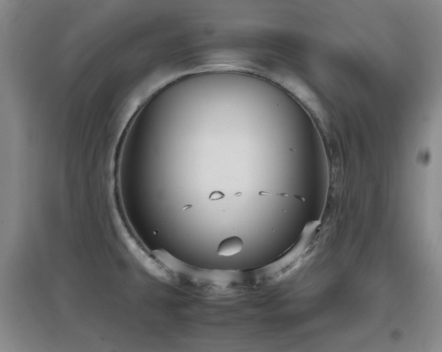 X0000097661431200802291415