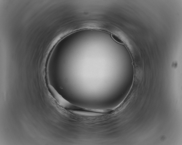 X0000097661435200802291415