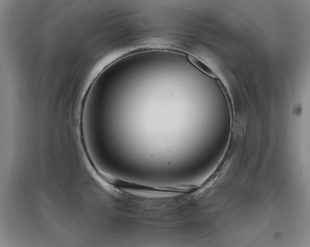 X0000097661437200802291415