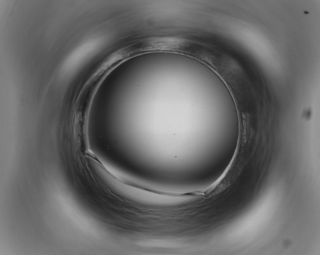 X0000097661438200802291415
