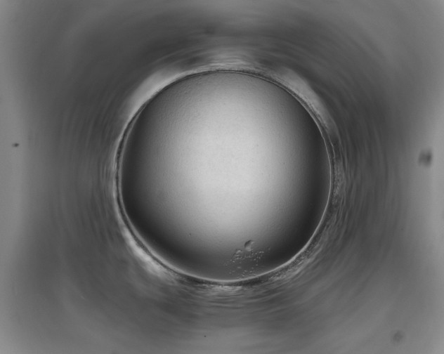 X0000097661439200802291415