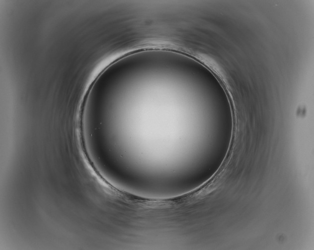X0000097661440200802291415