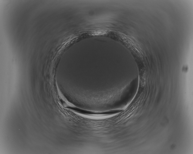 X0000097661441200802291415