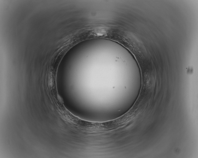 X0000097661442200802291415