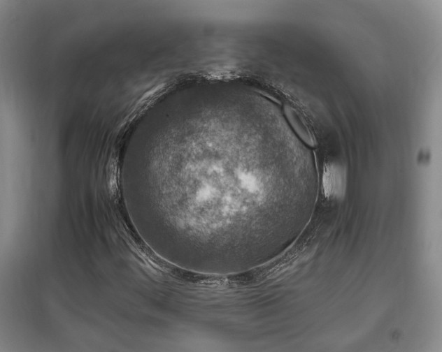 X0000097661444200802291415