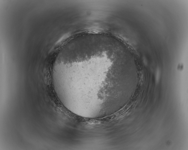 X0000097661446200802291415