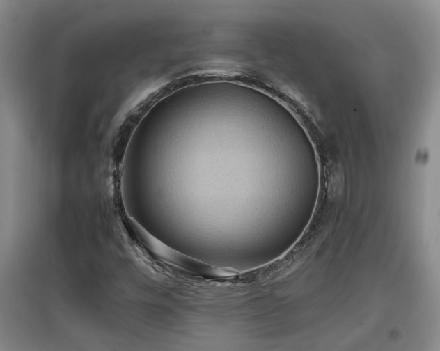 X0000097661448200802291415
