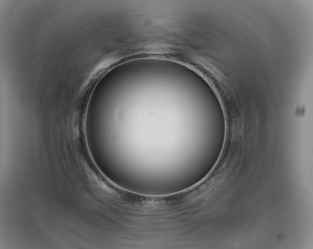 X0000097661451200802291414