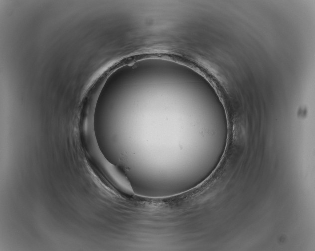 X0000097661452200802291414