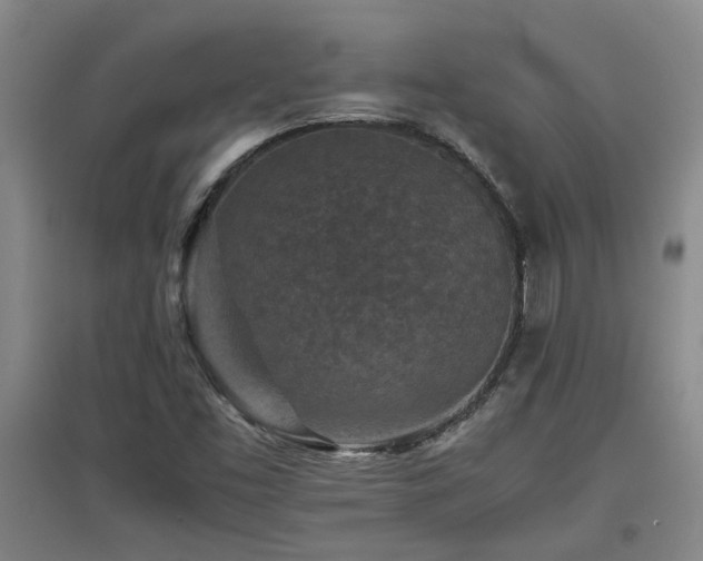 X0000097661453200802291414