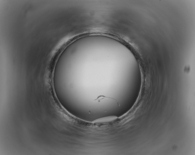 X0000097661454200802291414