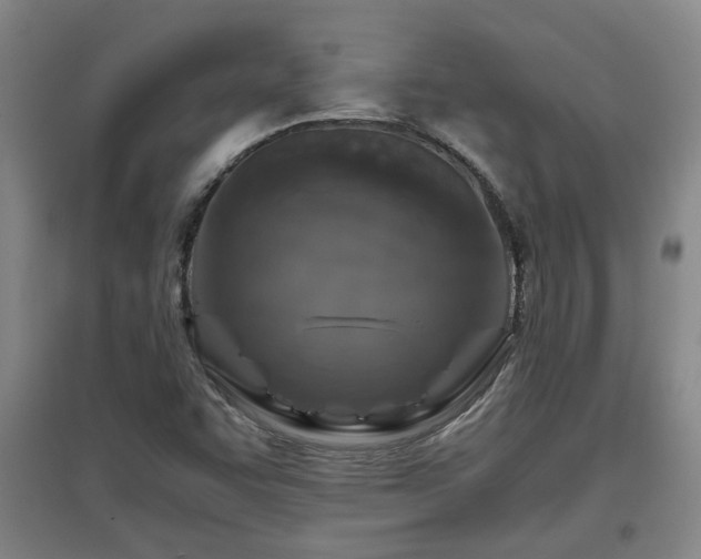 X0000097661455200802291414
