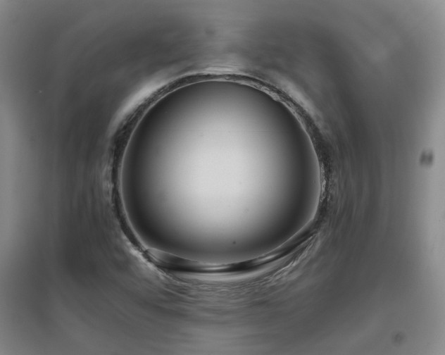 X0000097661456200802291414