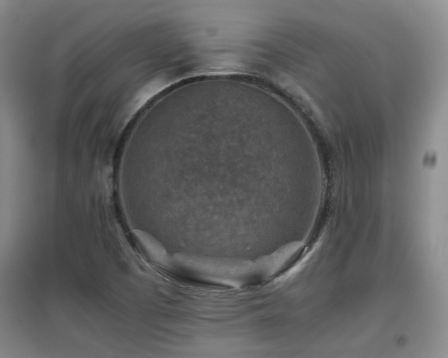 X0000097661457200802291414