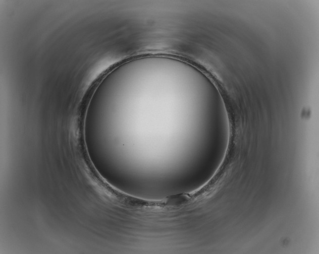 X0000097661458200802291414