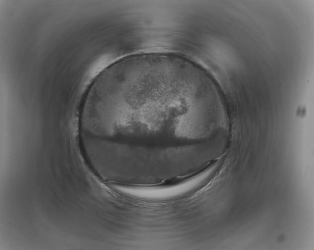 X0000097661459200802291414