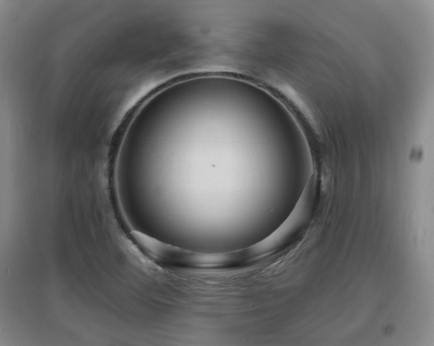 X0000097661460200802291414