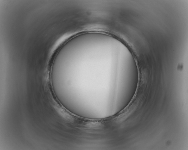 X0000097661462200802291414