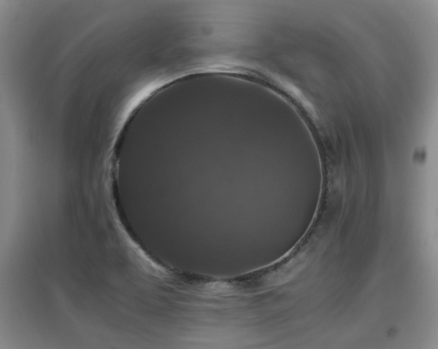 X0000097661463200802291414