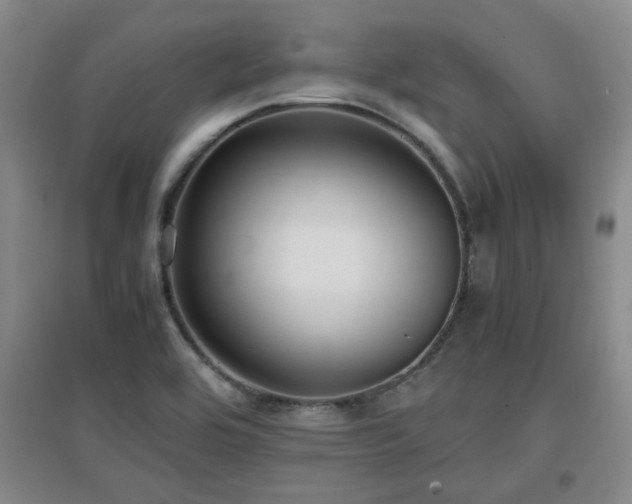 X0000097661464200802291414