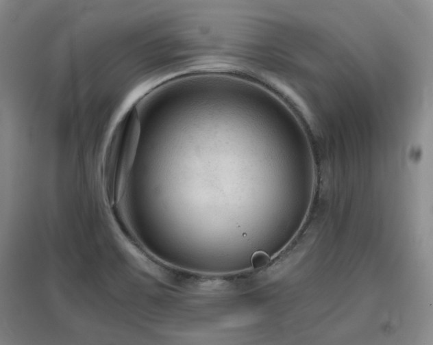X0000097661467200802291414
