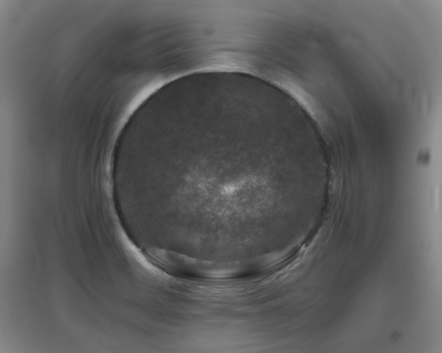 X0000097661468200802291414