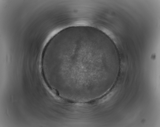 X0000097661469200802291414