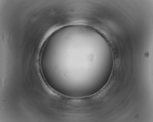X0000097661470200802291414