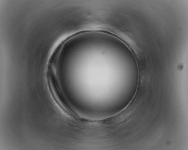 X0000097661472200802291414