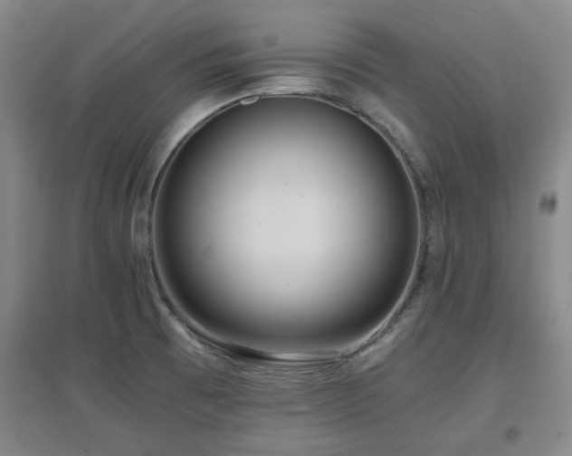 X0000097661473200802291414