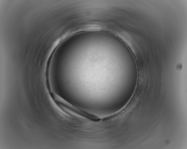 X0000097661475200802291414