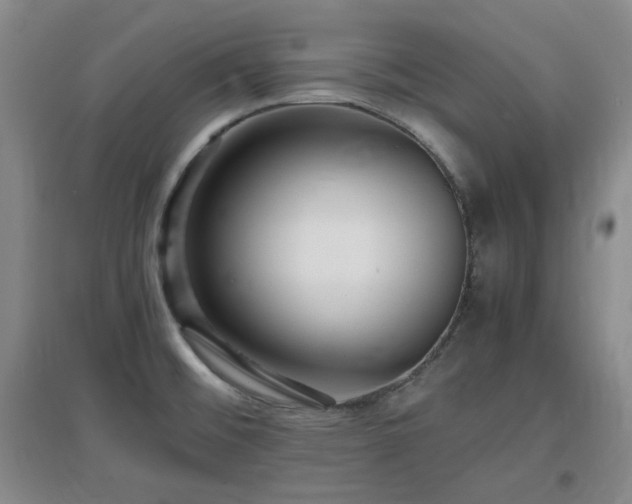 X0000097661476200802291414