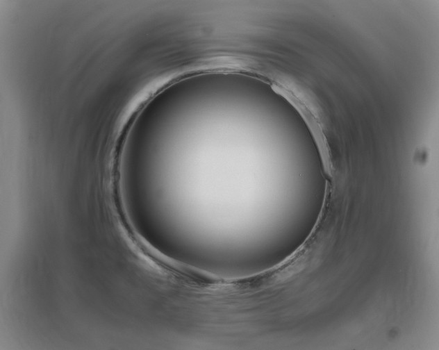 X0000097661477200802291414