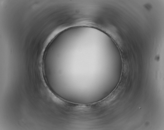 X0000097661478200802291414