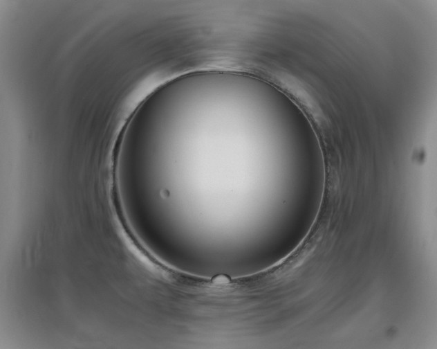 X0000097661479200802291414