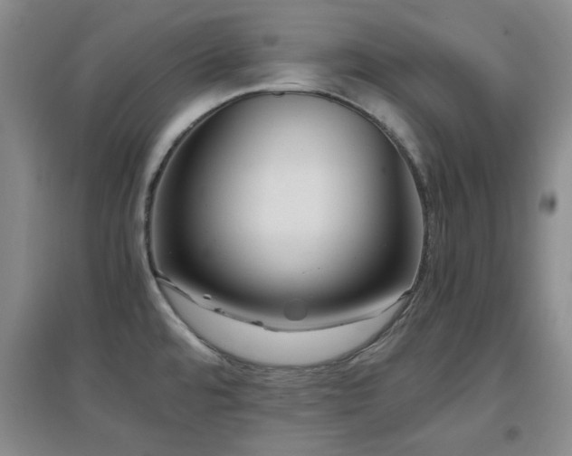 X0000097661480200802291414