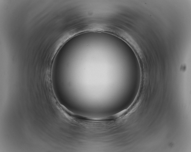 X0000097661481200802291414