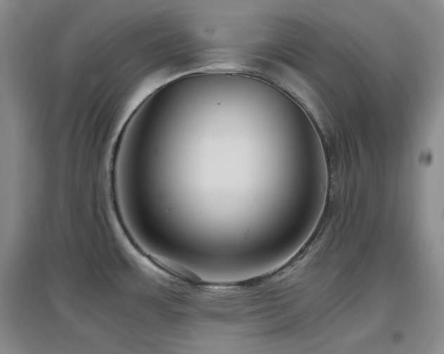 X0000097661483200802291414