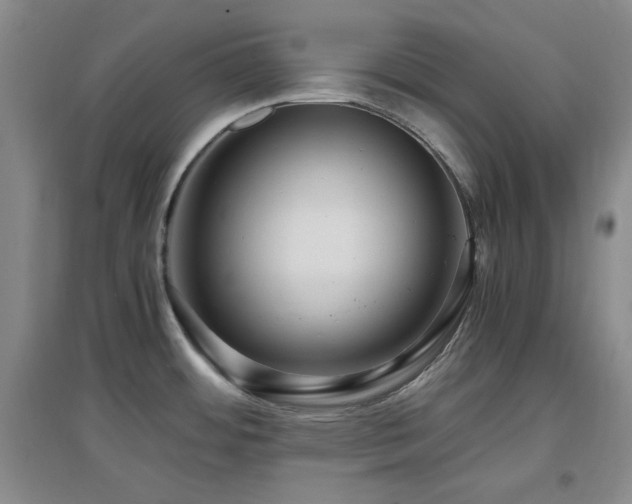 X0000097661484200802291414