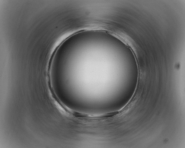 X0000097661485200802291414