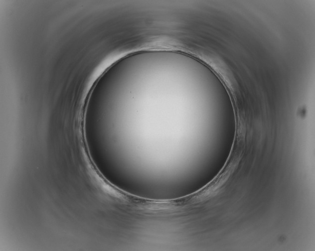 X0000097661486200802291414