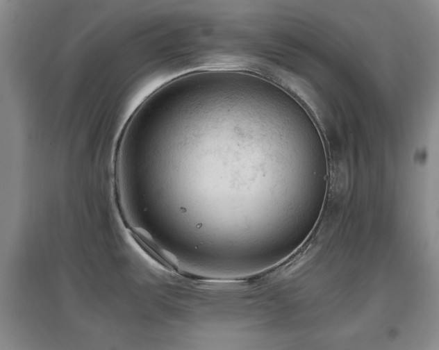 X0000097661487200802291414