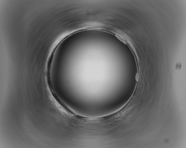 X0000097661488200802291414