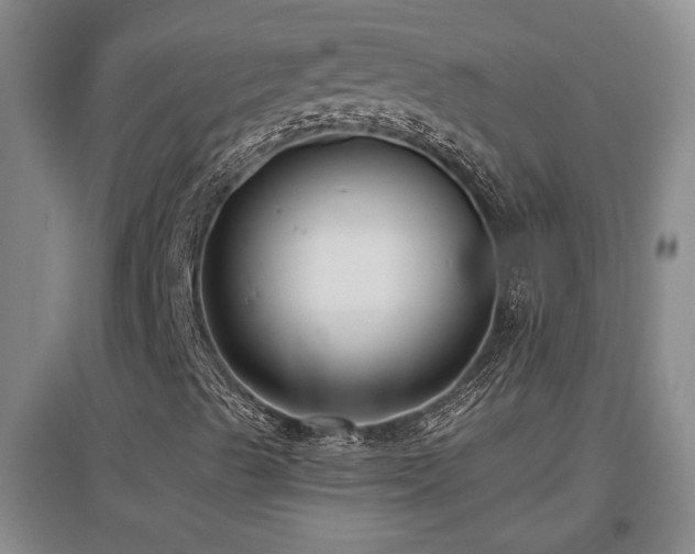 X0000097661489200802291413