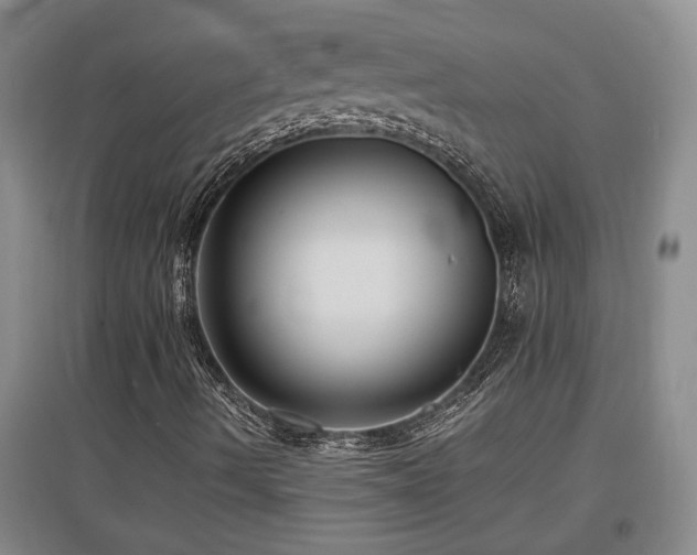 X0000097661490200802291413
