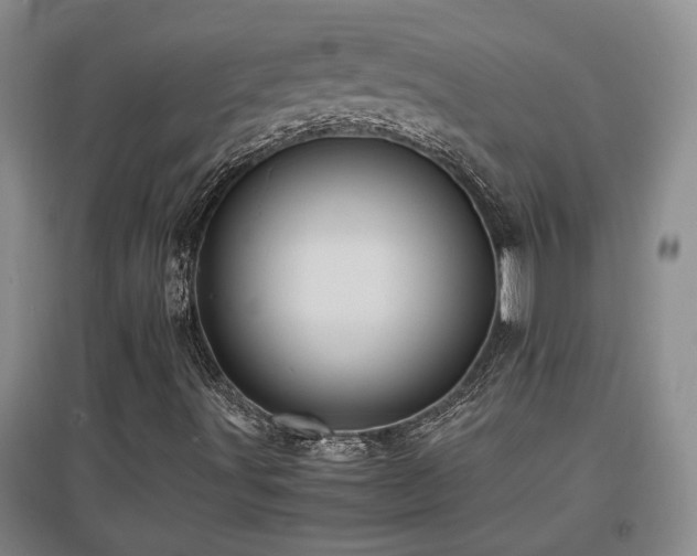 X0000097661491200802291413