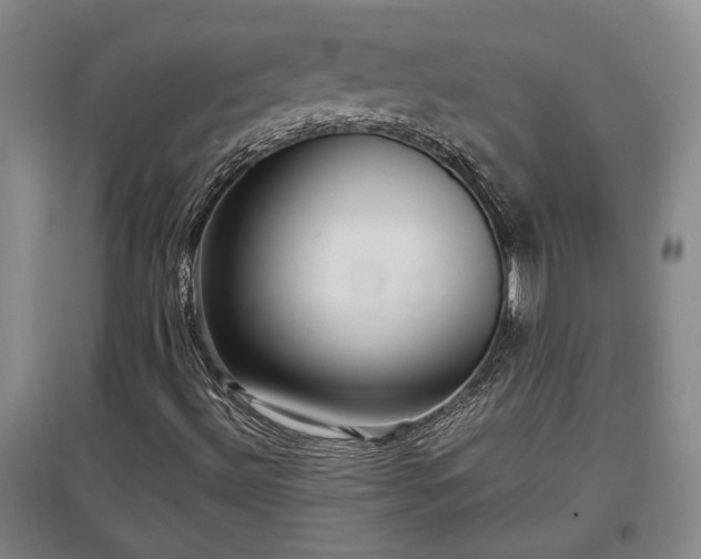 X0000097661492200802291413